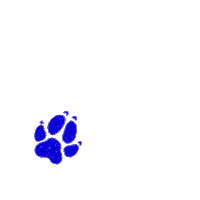 Paw Sticker
