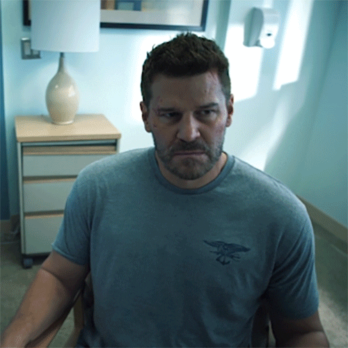 Sealteam Davidboreanaz GIF by Paramount+