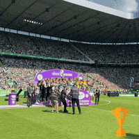 Celtic Fc Sport GIF by Celtic Football Club