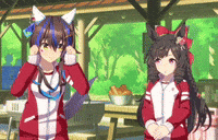Uma Musume Pretty Derby Ruby GIF