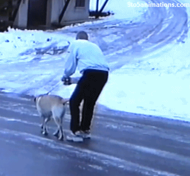 snow fails GIF
