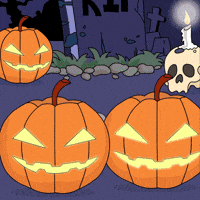 GIF by Morph