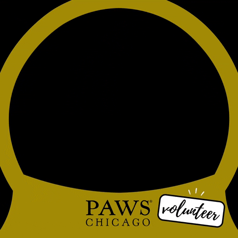Paws Volunteer GIF by PAWS Chicago