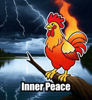 Inner Peace Wisdom GIF by Zorooster