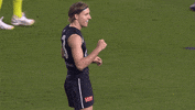Carlton Fc Celebration GIF by Carlton Football Club