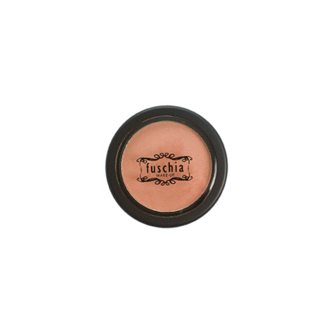 thefuschiaeffect giphyupload contour bronzer fuschiamakeup Sticker