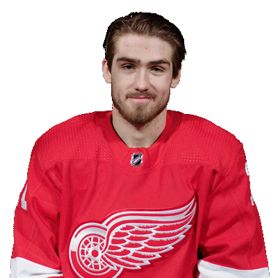 Red Wings Hockey Sticker by Detroit Red Wings