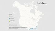 nelson's/saltmarsh sparrow (sharp-tailed sparrow) GIF by audubon