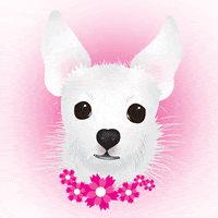 GreenDogGraphicDesign greendoggraphicdesign custompetportrait littlewhitedog sophieblackwell GIF