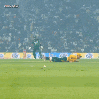 Babar Azam Goat GIF