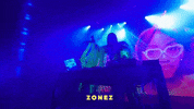 suzianalogue  GIF