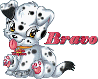 bravo STICKER