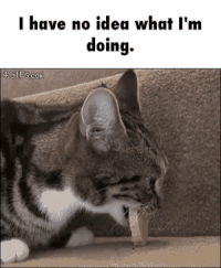 GIF by Demic