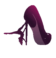 DeliaPoledanceStudio poledance delia rosenheim anamaria bozga Sticker