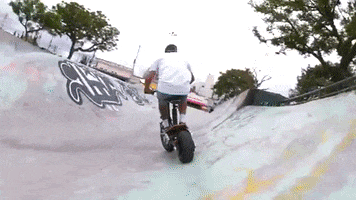 Bone Hoverboard GIF by Two Dogs