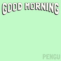 Good Morning GIF by Pudgy Penguins