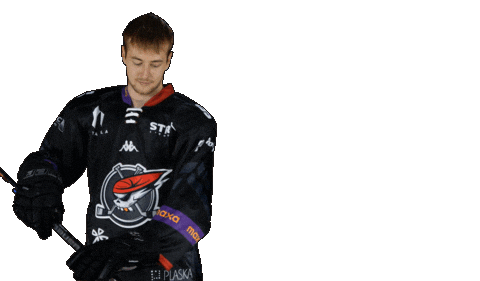 Střelec Sticker by Piráti Chomutov