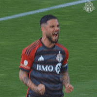 Bmo Field Football GIF by Toronto FC
