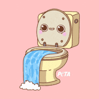 Go With The Flow GIF by PETA