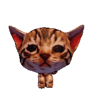 Cat Emote Sticker