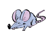Mouse Rat Sticker