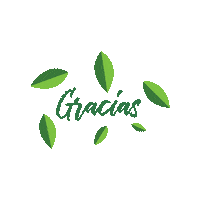 juanunezalameda hoja huejotzingo juann huejo Sticker