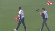 elimane coulibaly soccer GIF by KV Kortrijk