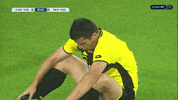 GIF by IPFL