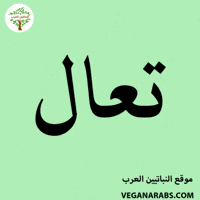 Middle East Wow GIF by VeganArabs