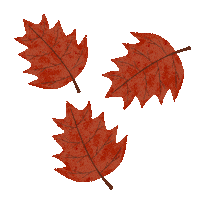 katinkaitsme colorful abstract autumn leafs Sticker
