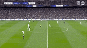 GIF by nss sports