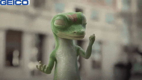 Celebration Yes GIF by GEICO