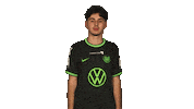 Wolfsburg Fabio Sticker by Bundesliga