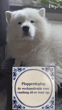 Motivation Benji GIF