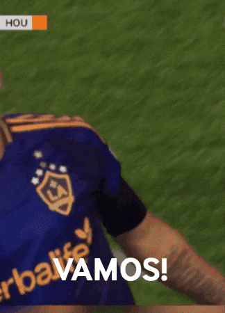 Vamos Lets Go GIF by Major League Soccer