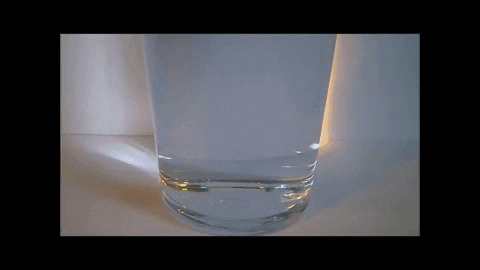 Simongip giphygifmaker GIF