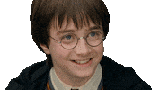 Happy Daniel Radcliffe Sticker by Harry Potter