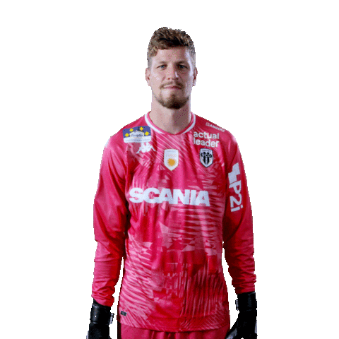 Ludo Sticker by ANGERS SCO