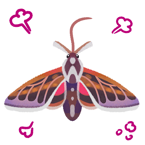 No Way What Sticker by pikaole