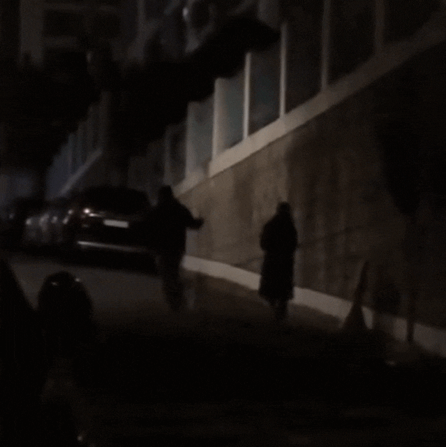 cuteanimalland giphyupload GIF