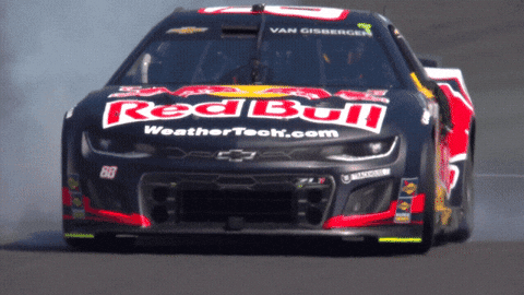 Sonoma Raceway Winner GIF by NASCAR