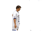 Lacrosse Bluehens Sticker by Delaware Blue Hens