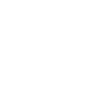 Solidays Sticker by solidcore