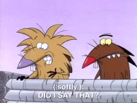 nickrewind nicksplat angry beavers GIF