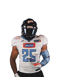 panthersfootball football panthers wroclaw pantherswroclaw Sticker