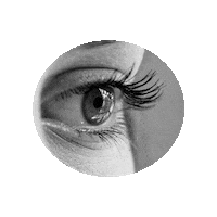 Look Ver Sticker by Movilizatorio