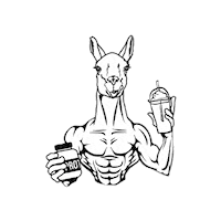 Punta Arenas Coffee Sticker by guanakombu