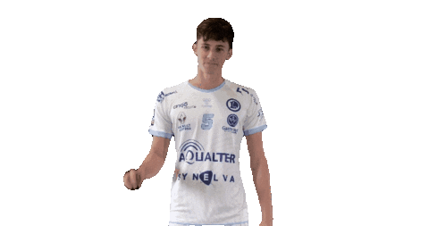 Handball Joueurs Sticker by Malet