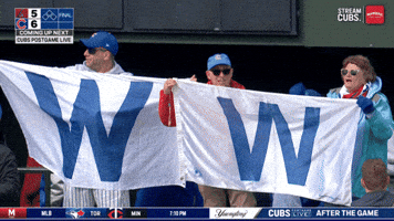 Chicago Cubs Baseball GIF