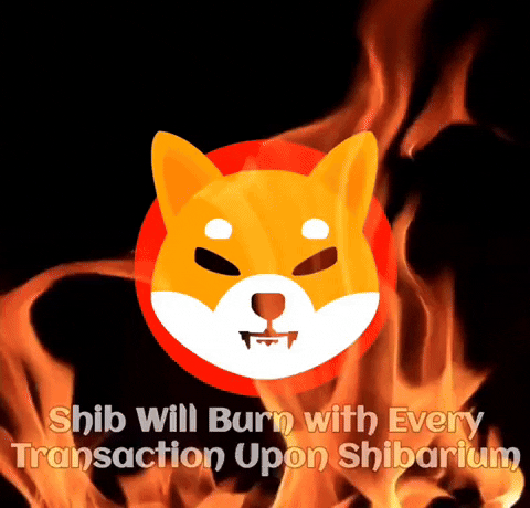 Shibarium GIF by SHIB MEMES